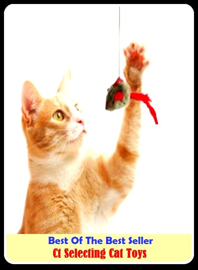Best of the Best Sellers Ct Selecting Cat Toys ( plaything, game, gadget, device, trinket, knickknack, gizmo, pastime, diversion, entertainment )