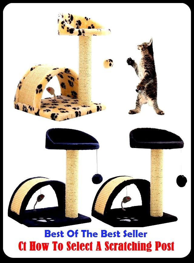 Best of the Best Sellers Ct How To Select A Scratching Post (scratch, tease, comb, claw, hackle, heckle, operate, cleave, split, saw, slice)