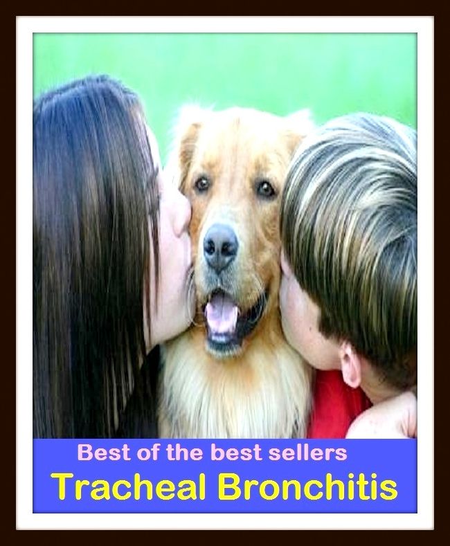 Best of the Best Sellers Tracheal Bronchitis ( respiratory disease, tuberculous rheumatism, visceral rheumatism, neuritis, glossitis, visceral rheumatism, arthritis deformans, irritable bowel, sore throat, osteomyelitisb )