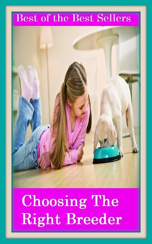 Best of the Best Sellers Choosing The Right Breeder ( atomic pile, uranium reactor, breeder reactor, tamer, broncobuster, stockkeeper, cattleman, stock raiser, chain-reacting pile, stableman )