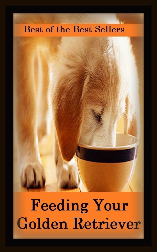 Best of the Best Sellers Feeding Your Golden Retriever ( Brillat-Savarin, walking part, Lucullus, villain, actor, utility man, affluent, turnout, antihero, trunk line, barnstormer )