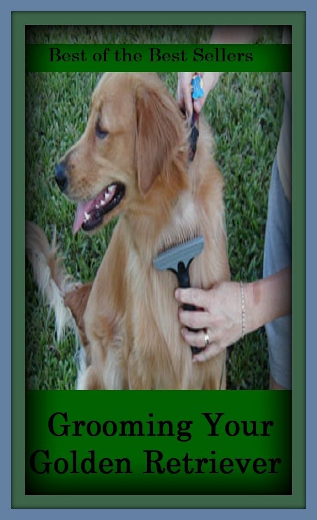 Best of the Best Sellers Grooming Your Golden Retriever (bring, win back, call for, shag, cover, secure, extract, salvage, fetch, revivify, free )