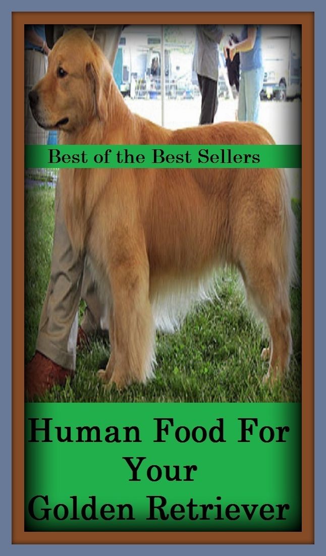Best of the Best Sellers Human Food For Your Golden (aliment, victuals, chow, tuck, commons, subsistence, eats, rations, feed, provender, foodstuffs )