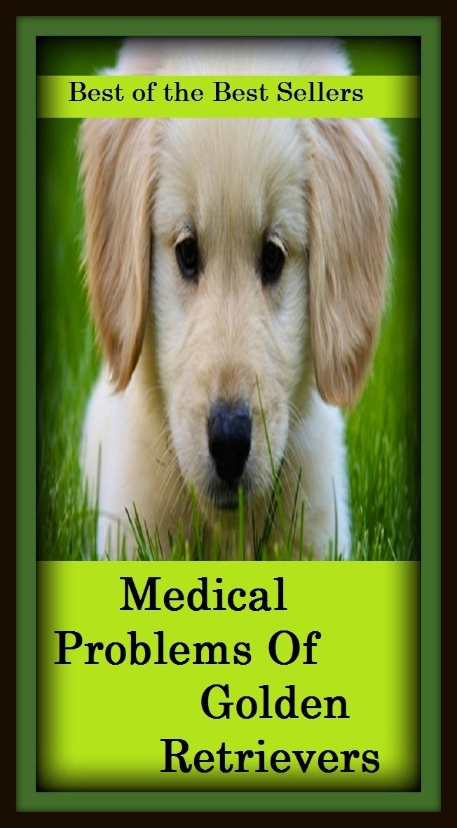 Best of the Best Sellers Medical Problems Of Golden Retrievers ( bring, win back, call for, shag, cover, secure, extract, salvage, fetch, revivify, free, revitalize, get back, return, go and get, resuscitate )