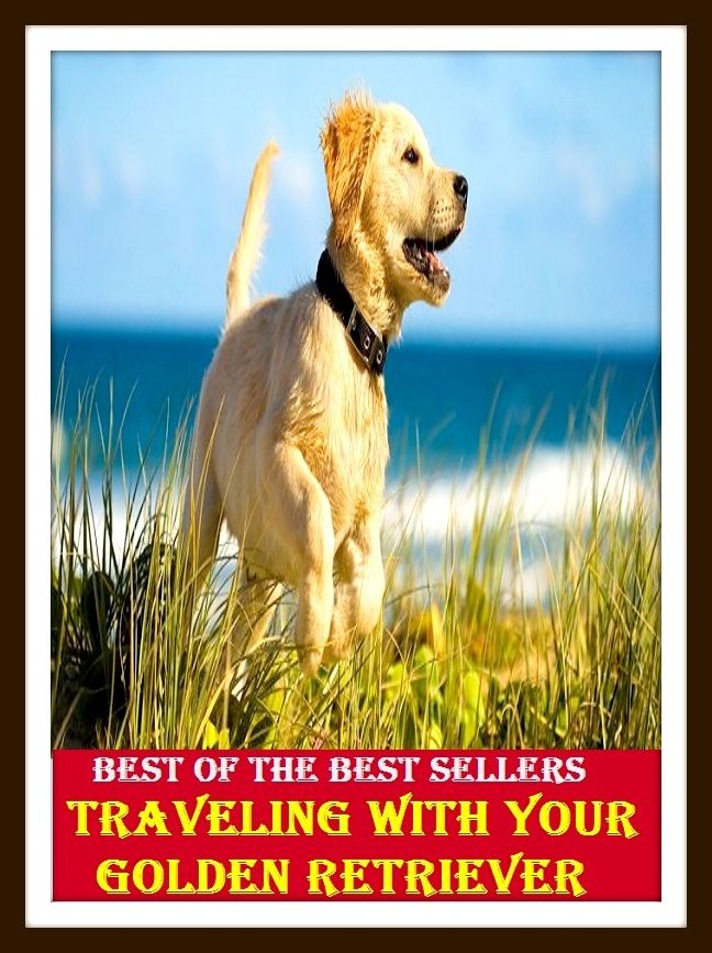 Best of the Best Sellers Traveling With Your Golden Retriever ( active, wayfaring, ambulative, trekking, circuit-riding, transitional, course, trajet, driving, touristy, globe-girdling, touristic, going )