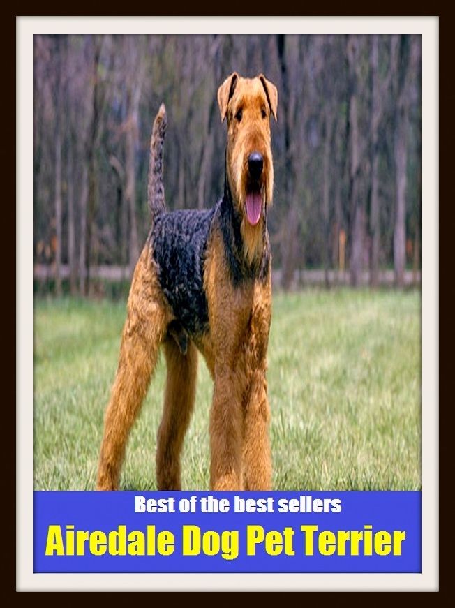 Best of the Best Sellers Airedale Dog Pet Terrier ( admired, white-haired, angel, well-liked, baby, wanton, beloved, treasured, buttercup, tiff, cherished, sweetkins, chick, sweetheart )