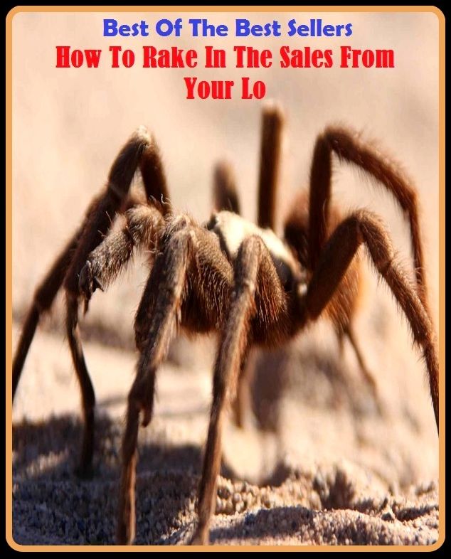 Best of the Best Sellers	How To Rake In The Sales From Your Lo ( ladder, rake, harrow, scale, raker, exchanging, exchange, wages, hire, selling, sale, beyond, out of, beside, from )