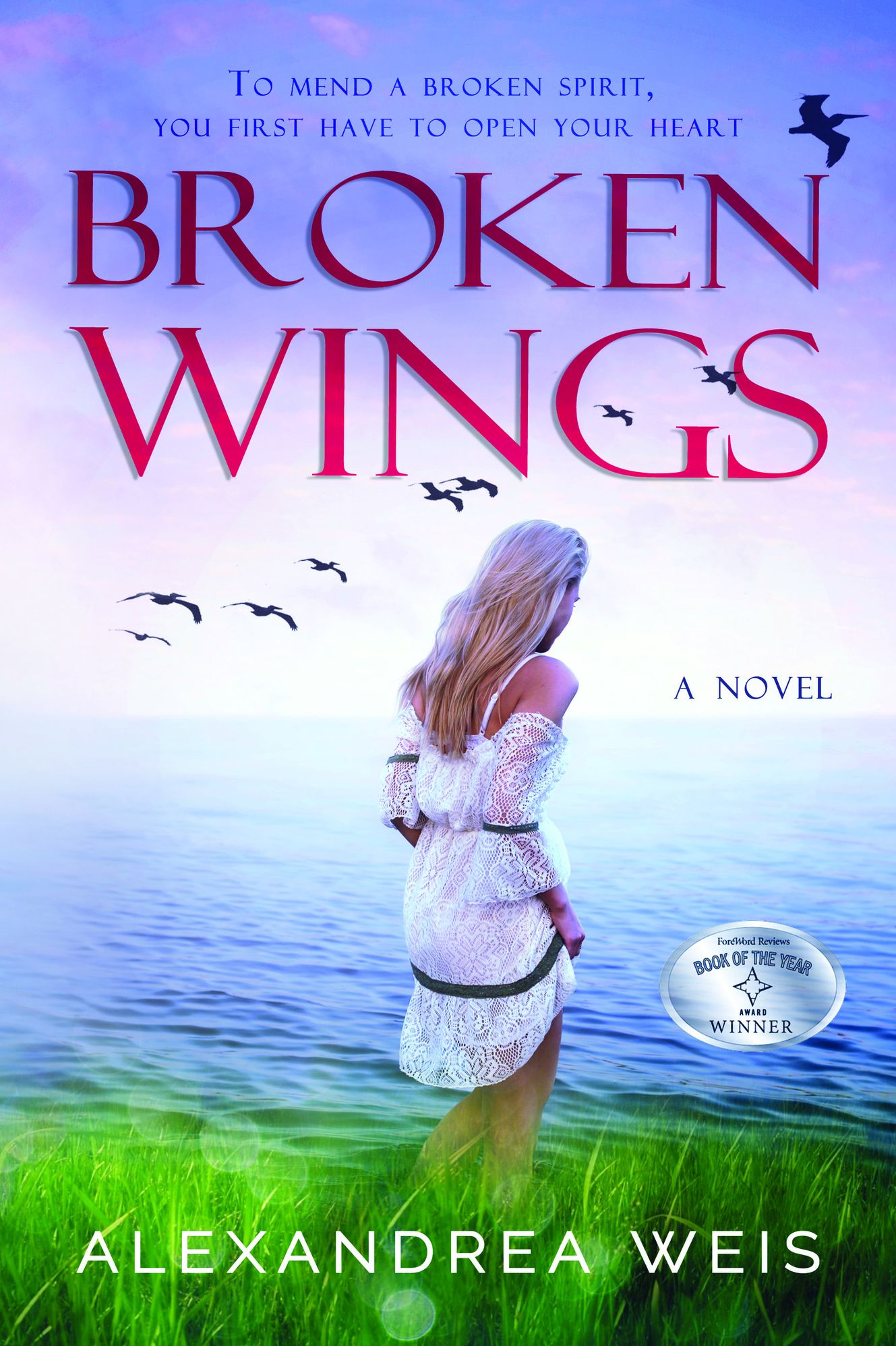 Broken Wings