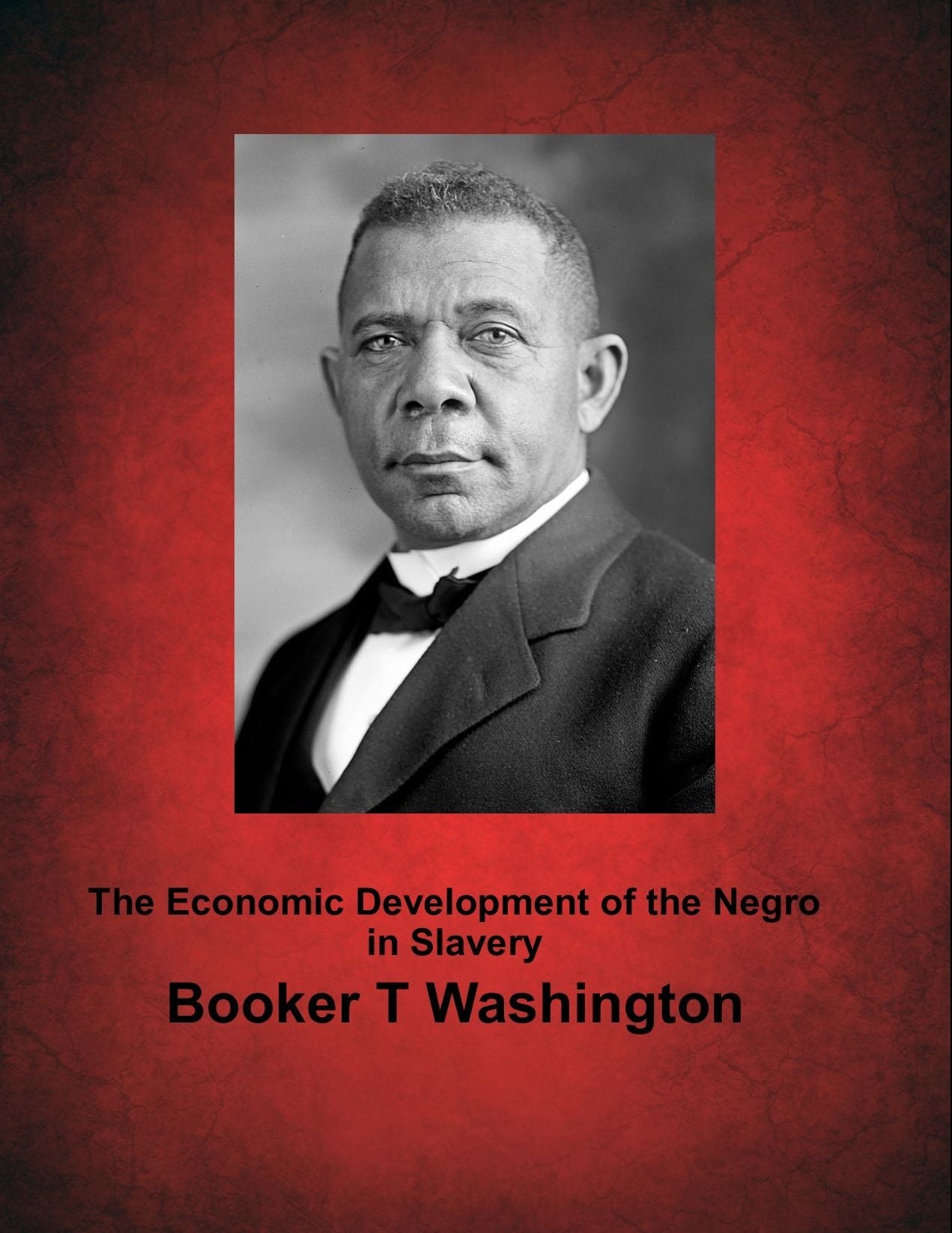 The Economic Development of the Negro in Slavery