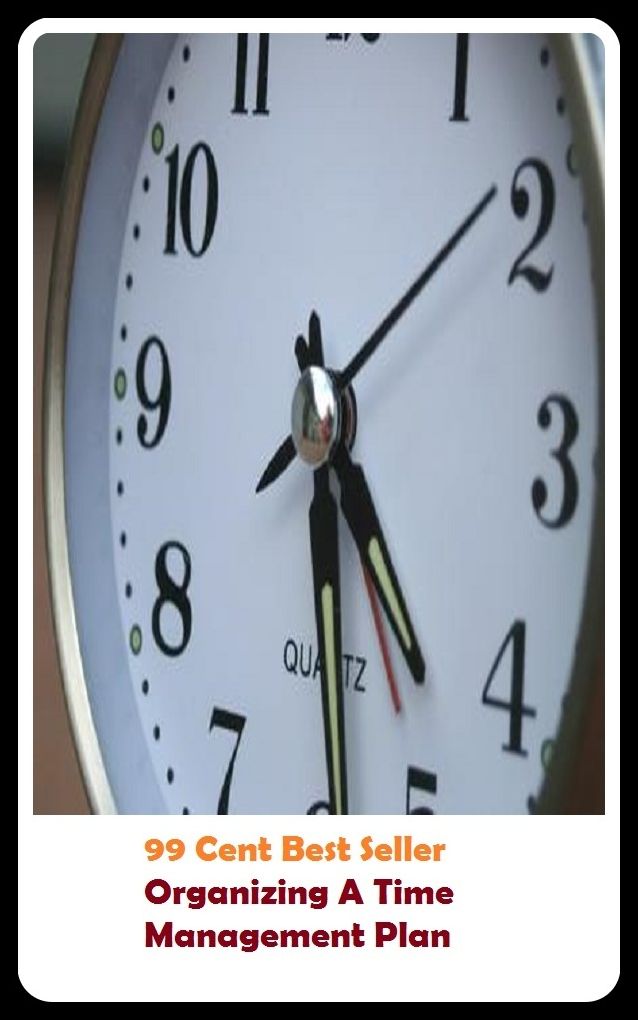 99 Cent Best Seller Organizing A Time Management Plan ( managing, organization, running, supervision, administration, management, direction, admin, command, control, care )