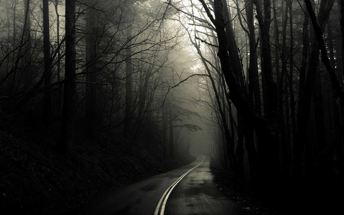 T.R.I.P paranormal real facts behind the most haunted locations