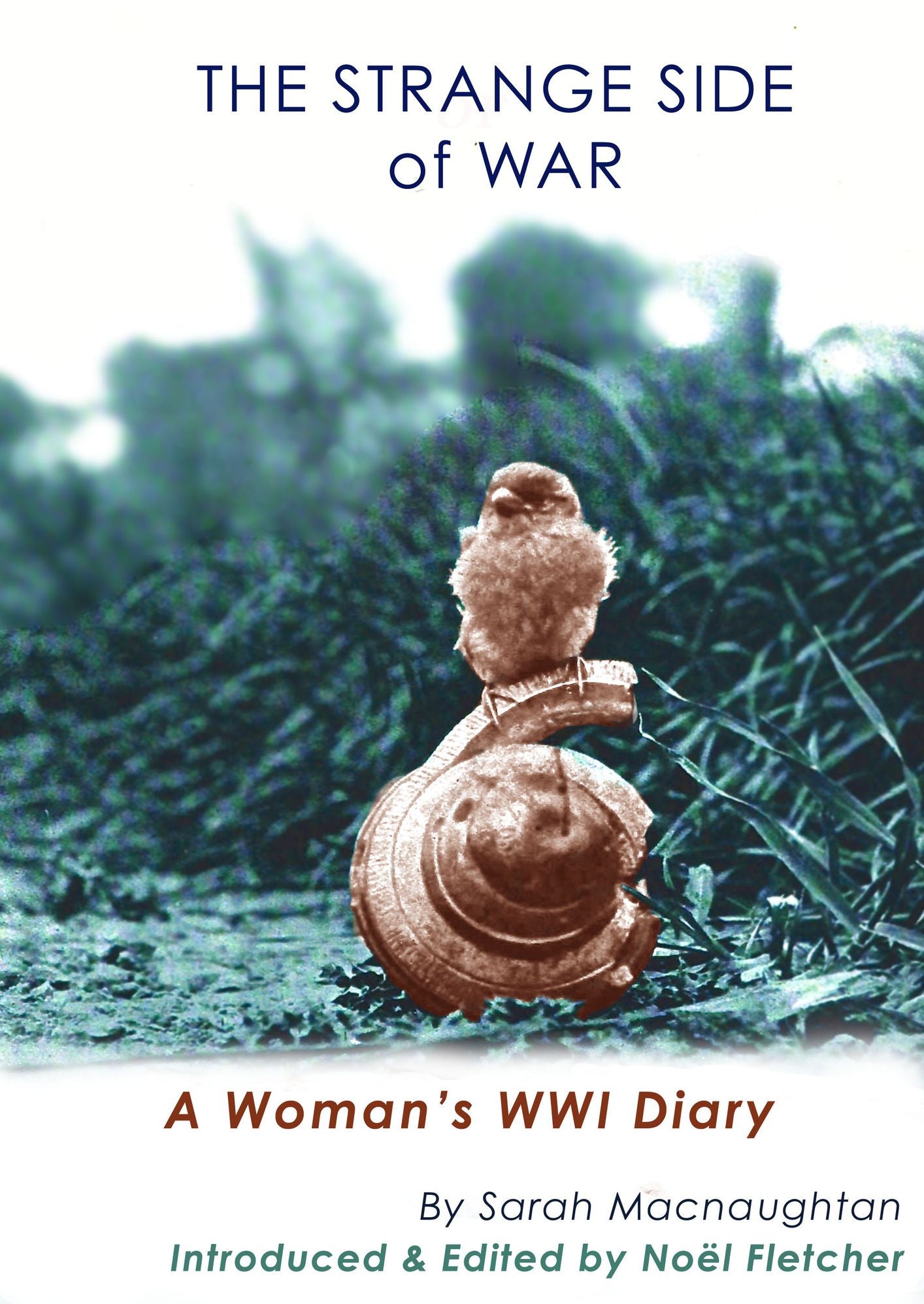 The Strange Side of War: A Woman's WWI Diary