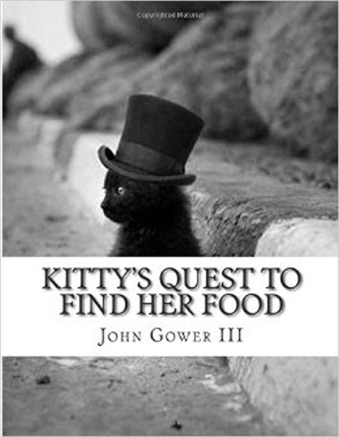 Kitty's Quest To Find Her Food