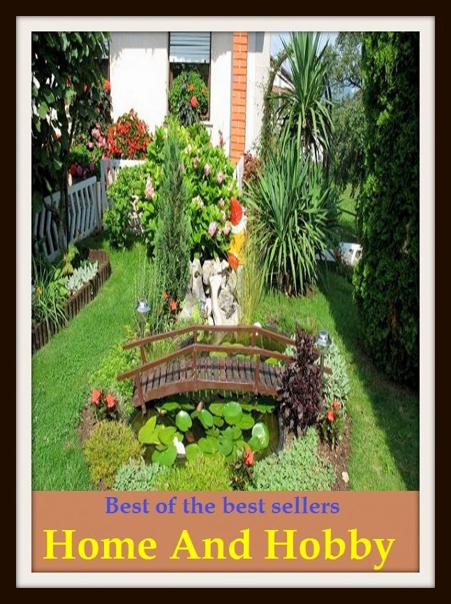 Hobbies: Best Sellers Home And Hobby ( pastime, leisure activity, leisure pursuit, sideline, side interest, diversion, avocation, recreation)