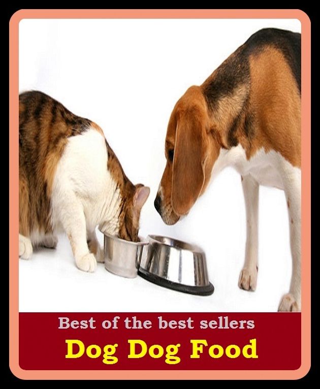 Best of the Best Sellers Dog Food ( nourishment, sustenance, nutriment, fare, bread, daily bread, cooking, cuisine, foodstuffs, edibles, provender, refreshments )