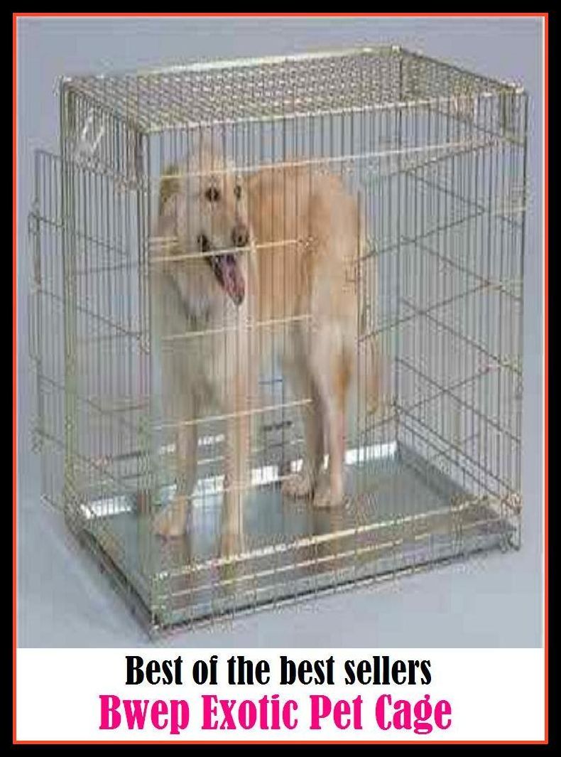 Best of the best sellers Exotic Pet Cage ( cherished, darling, r dear, dear, arendearing, favored, loved, preferred, special, affectionate )