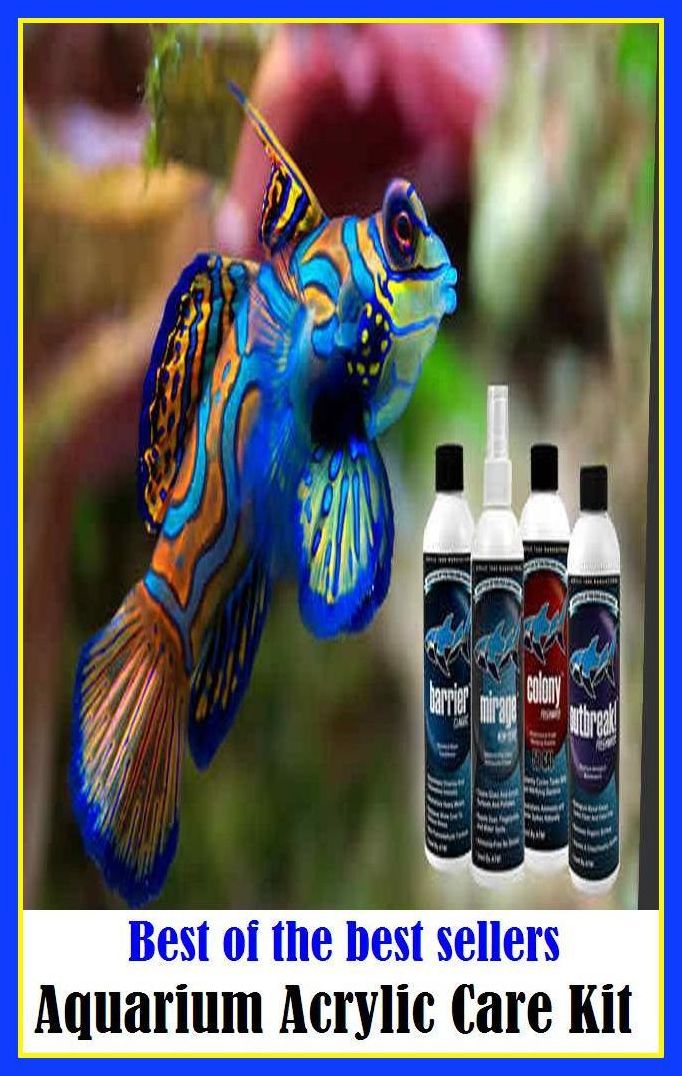 Best of the Best Sellers Aquarium Acrylic Care Kit ( equipment, tools, implements, instruments, gadgets, utensils, appliances, tools of the trade, gear, tackle )