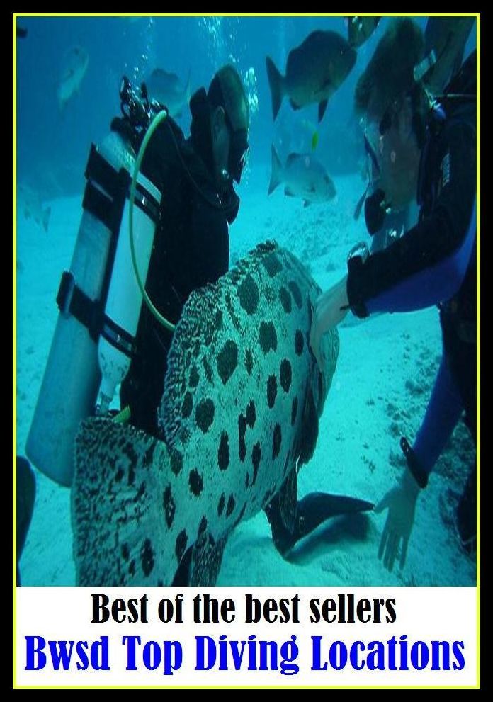 Best of the Best Sellers Top Diving Locations (bump, collapse, collide, ditch, dive, drop, hurtle, lurch, meet, pitch)