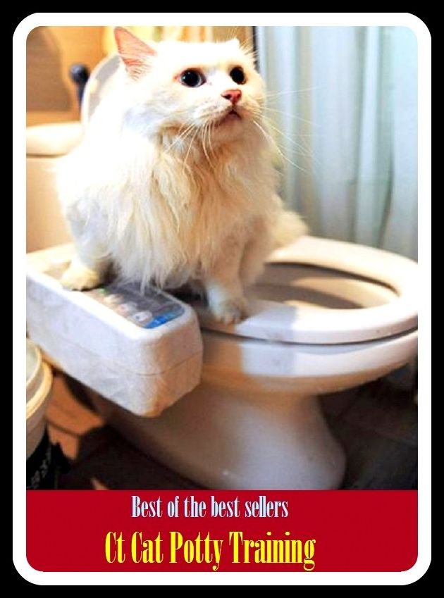 Best of the Best Sellers Cat Potty Training (acclimation, warm-up, accommodation, vocational education, adaption, tutelage, apprenticeship, tryout, basic training, readying)