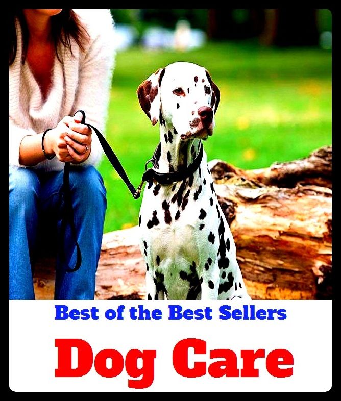 Dogcare Handbook	(dog, doggie, pooch, sheepdog, house)