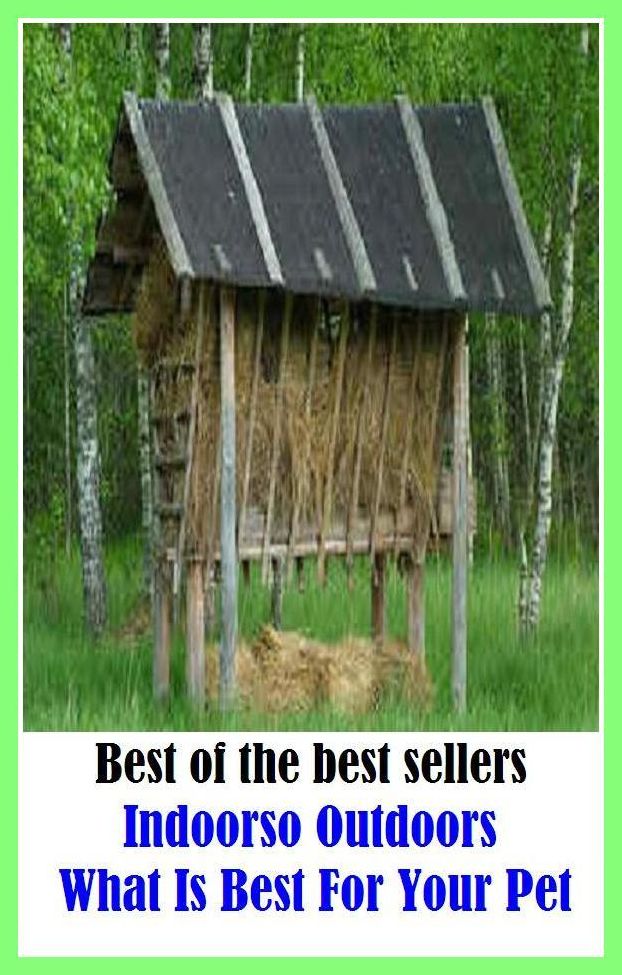 Best of the Best Sellers Indoorso Outdoors What Is Best For Your Pet (indoor baseball, indoor garden, indoor rower, indoor soccer, indoors, indoors, indolence, pedophile, homophobia, ibuprofen)