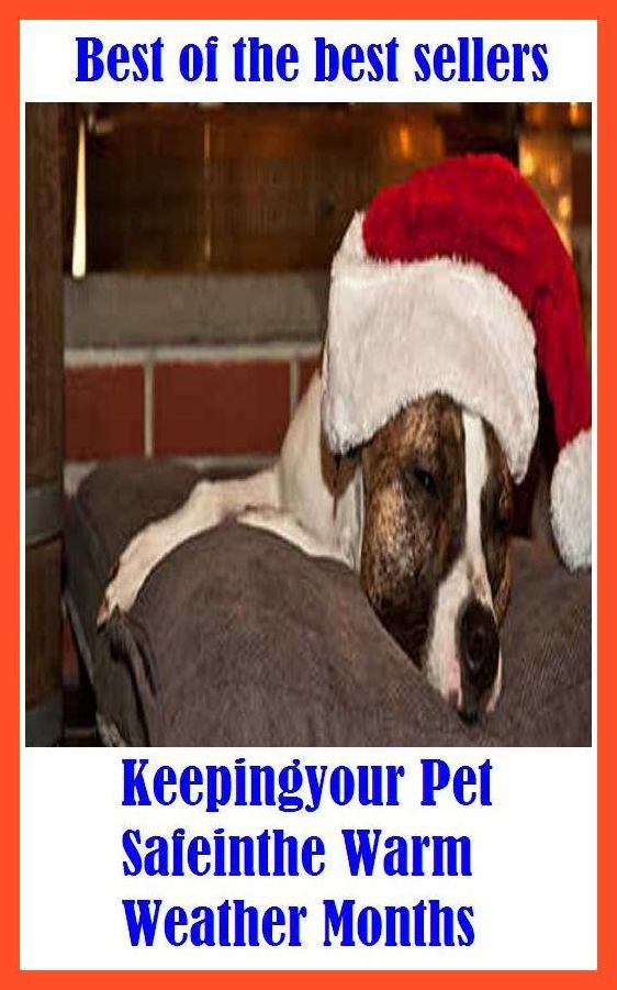 Best of the Best Sellers Keepingyour Pet Safeinthe Warm Weather Months (keeper, keep ideas, weepie-yuppie, keeping, keeping up with the Jones, kepi, keep like, keep net, keep recipes, keeps)