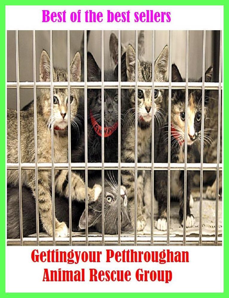 Best of the Best Sellers Gettingyour Petthroughan Animal Rescue Group (getting off, getting out the vote, getting to know you, getting-to-know-you, getting hired, get tone, Getty, Gettysburg, Gettysburg address, Giulio Donelle Vargas)