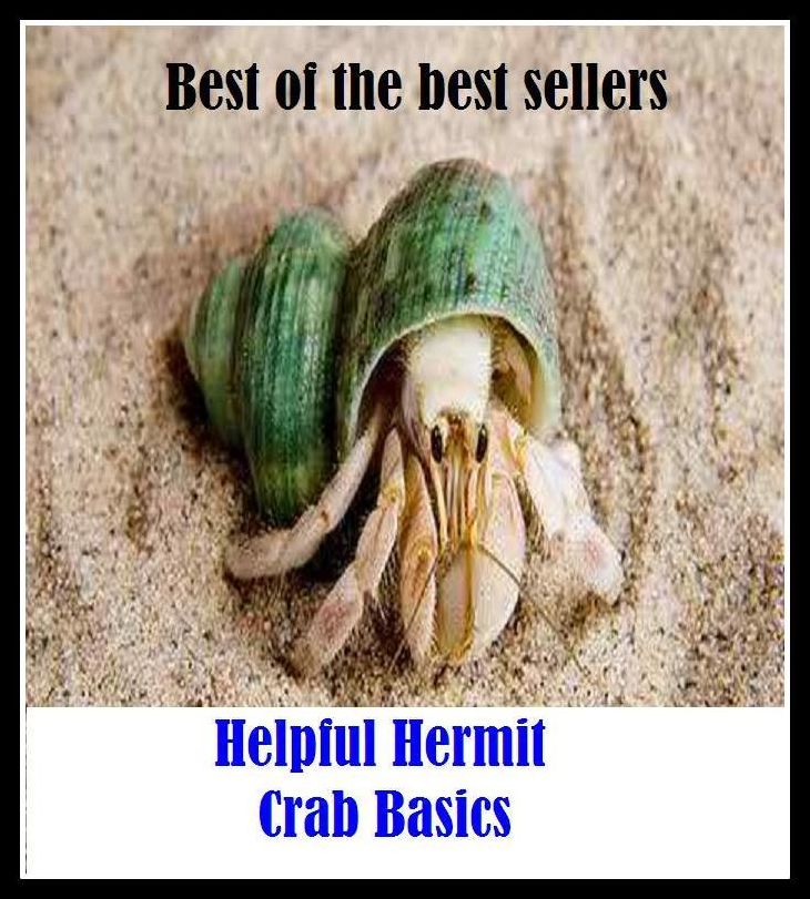 Best of the Best Sellers Helpful Hermit Crab Basics (helper virus, helper viruses, help file, helpful, helpful alliance, helpful technologies, helpfully, helpfulness, help hive, helping)