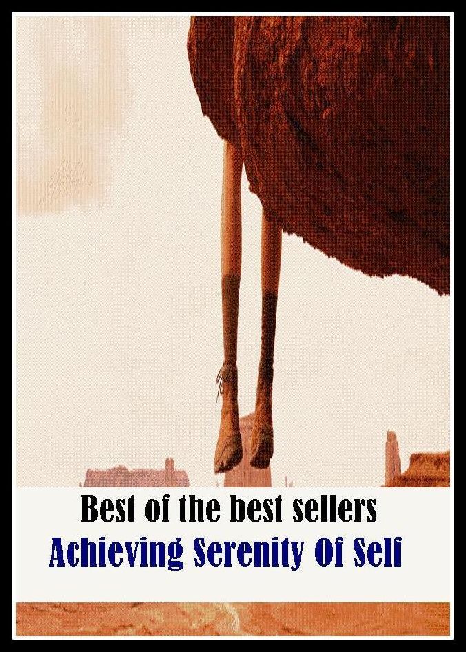 Best of the Best Sellers	Achieving Serenity Of Self ( achieve, earn, acquire, attain, obtain, gain, serenity, transparence, translucence, cleanness, innocence, individually, oneself, self )