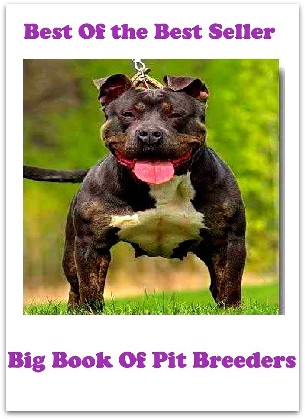 Best of the Best Sellers	Big Bookof Pit Breeders	(extensive, expansive, outstretched, outspread, continued, diffuse)