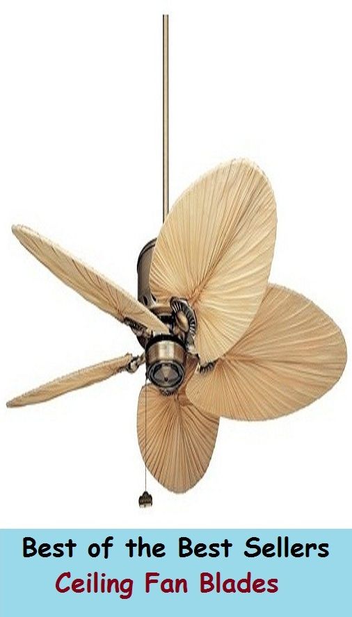 Best of the best seller Ceiling Fan Blades(camcorders, computers, radios, stereos, televisions, transistors, VCRs, CD players, chips, components)