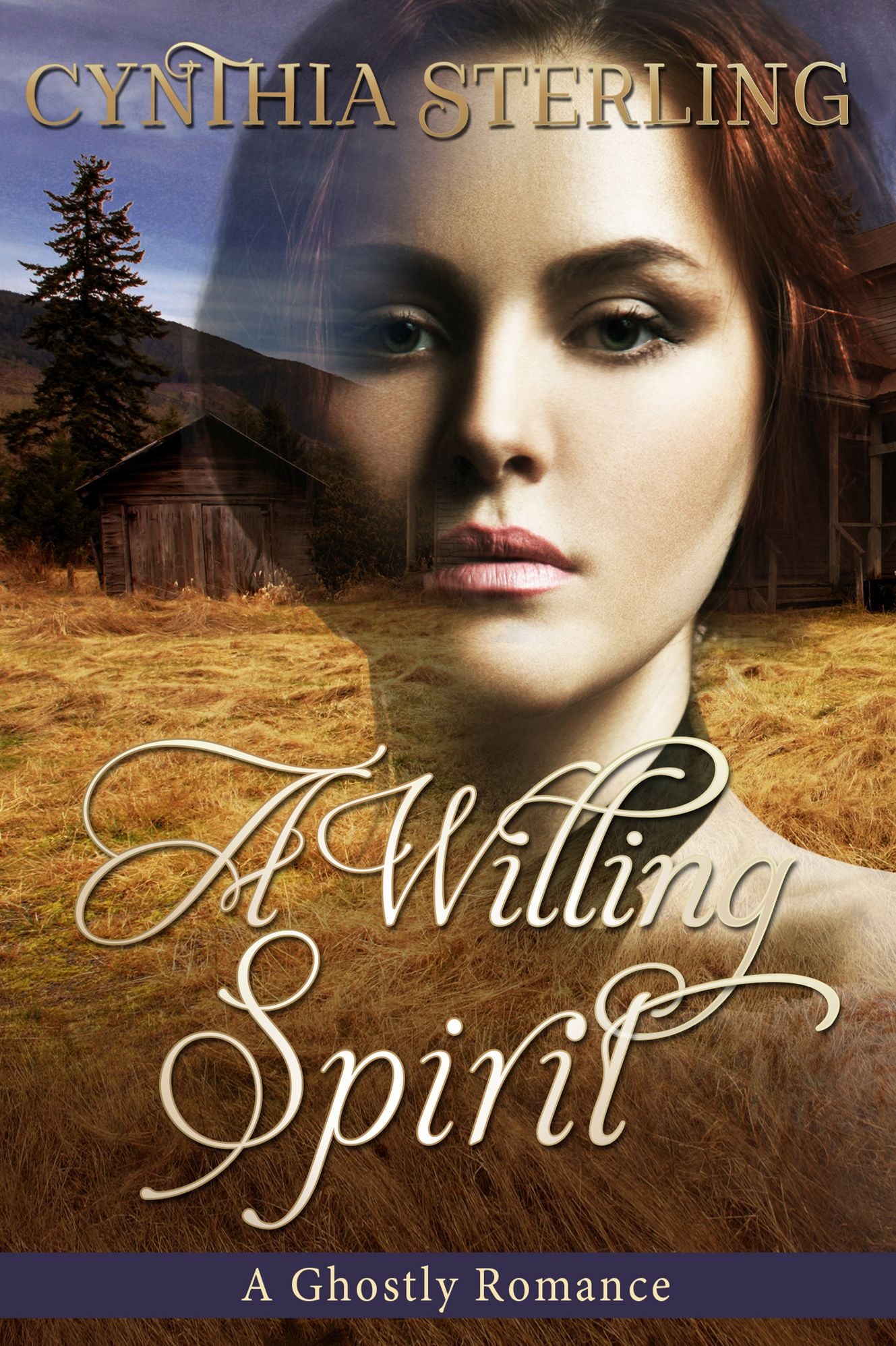 A Willing Spirit