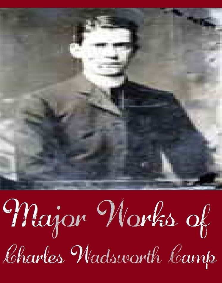Major Works of Charles Wadsworth Camp (Major Works Include History of the 305th Field Artillery, Sinister Island, The Abandoned Room, The Gray Mask, The Guarded Heights)