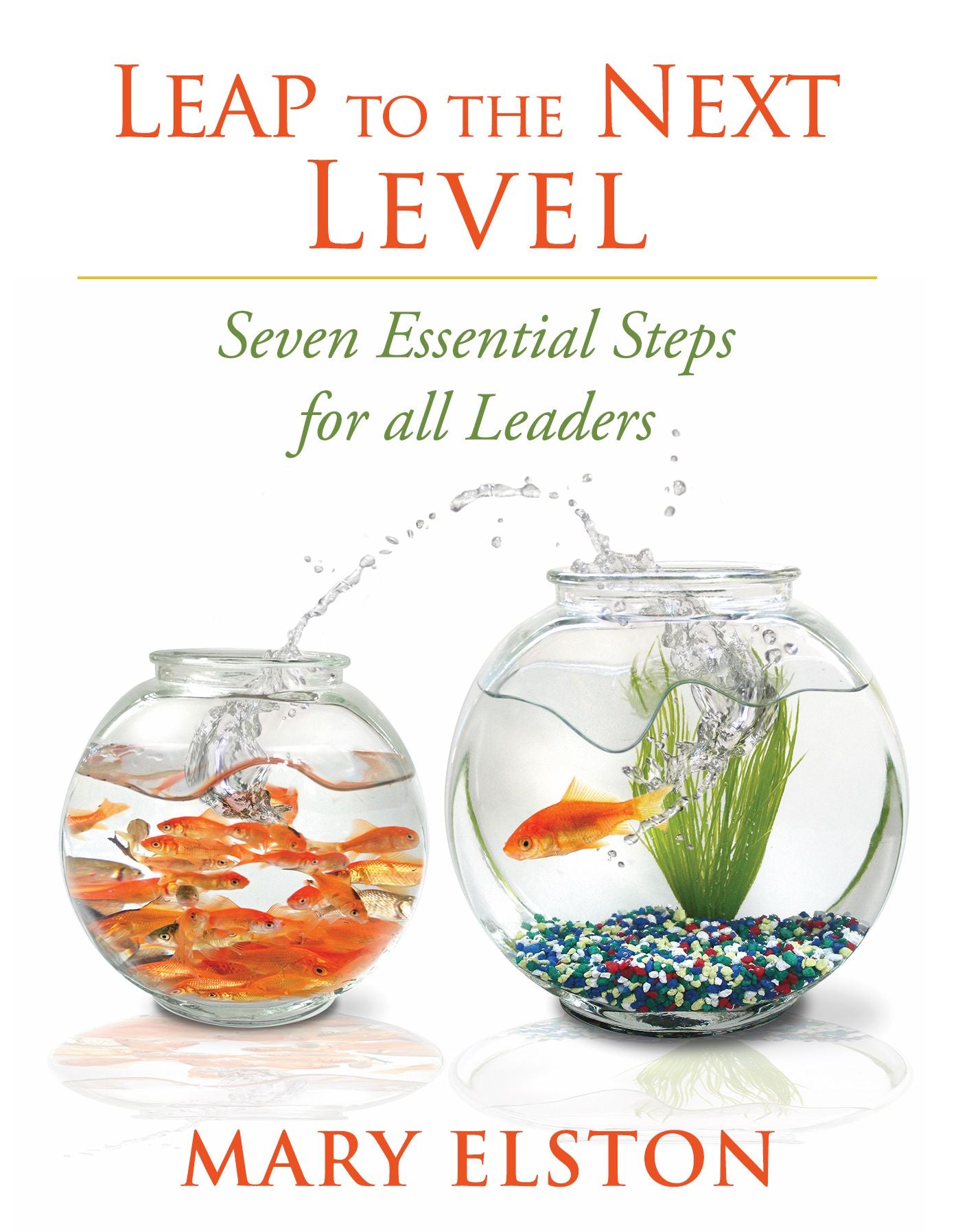 Leap to the Next Level: Seven Essential Steps for all Leaders