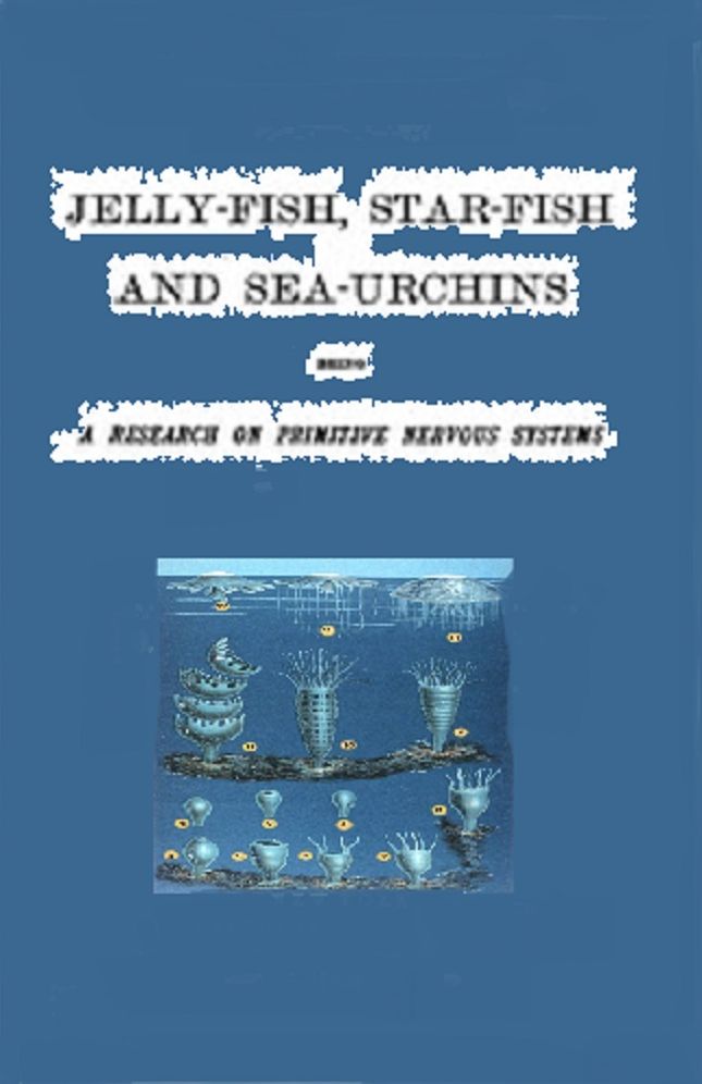 Jellyfish, Starfish, and Sea-Urchins