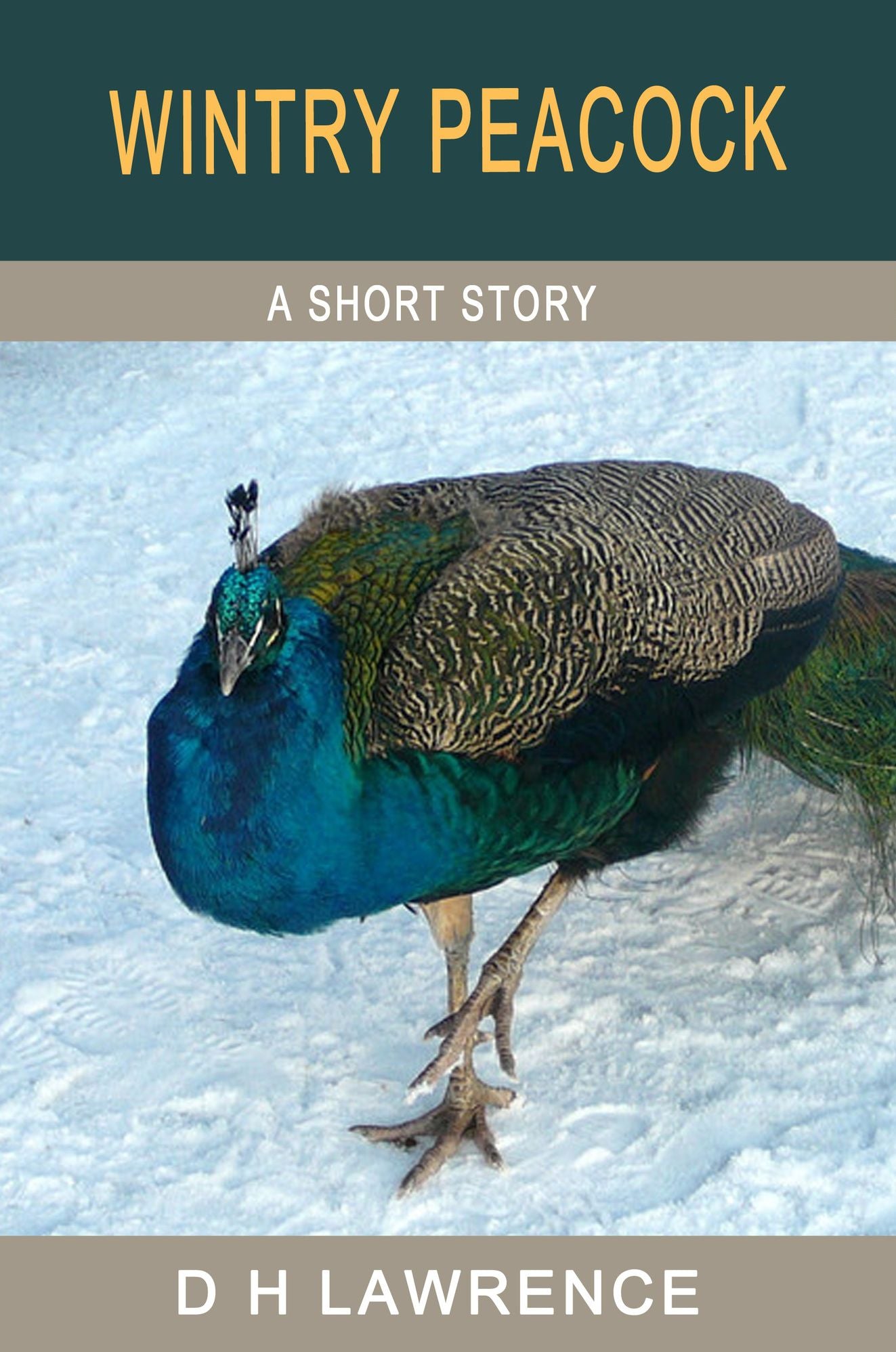 Wintry Peacock