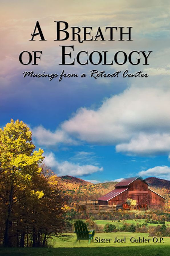 A Breath of Ecology: Musings from a Retreat Center