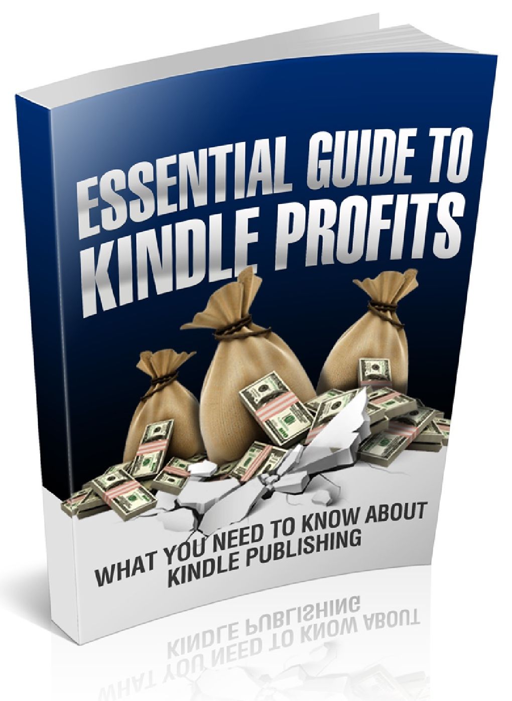 Essential Guide To Kindle Profits