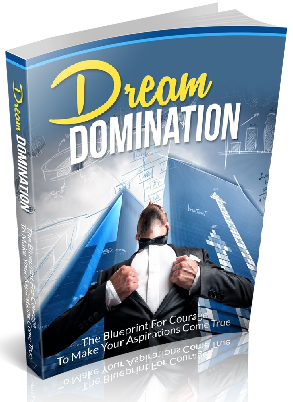 Dream DOMINATION - The Blueprint For Courage To Make Your Aspirations Come True