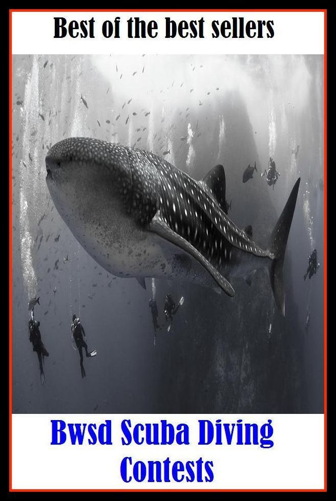 Best of the Best Sellers Scuba Diving Contests (bump, collapse, collide, ditch, dive, drop, hurtle, lurch, meet, pitch)