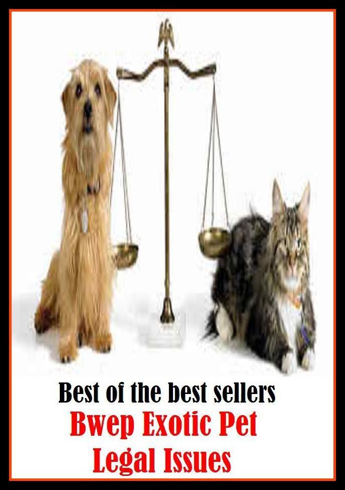 Best of the best sellery Exotic Pet Legal Issues ( cherished, darling, rdear, deare, arendearing, favored, loved, preferred, special, affectionate )