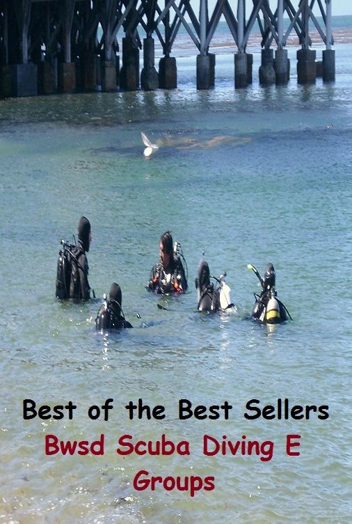 Best of the Best Sellers Scuba Diving E Groups (bump, collapse, collide, ditch, dive, drop, hurtle, lurch, meet, pitch)