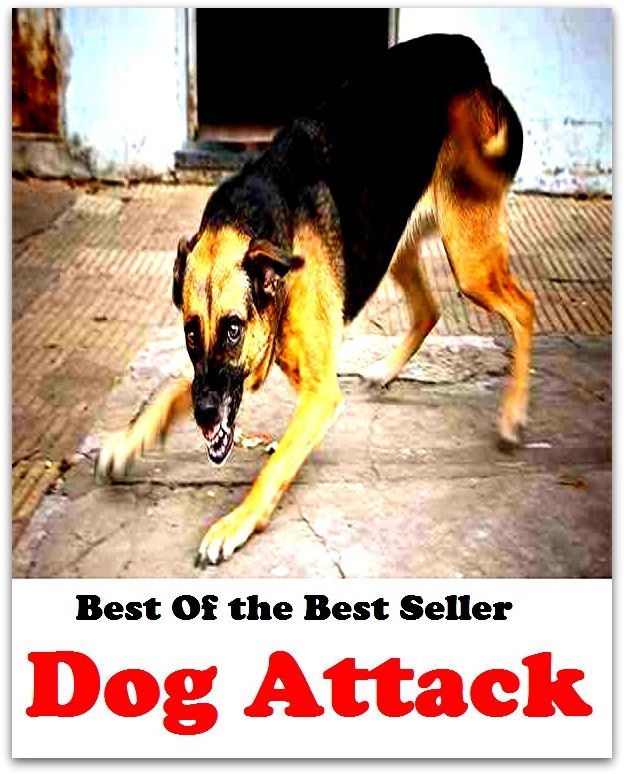Best of the Best Sellers	Dog Attack(attack, invasion, onslaught, aggression, offensive, onfall)