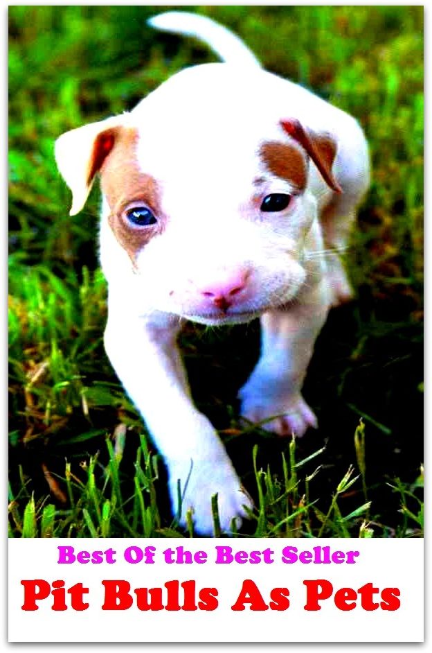 Best of the Best Sellers	Pit Bulls As Pets(annoyance, nagging, molestation, bother, chagrin, provocation