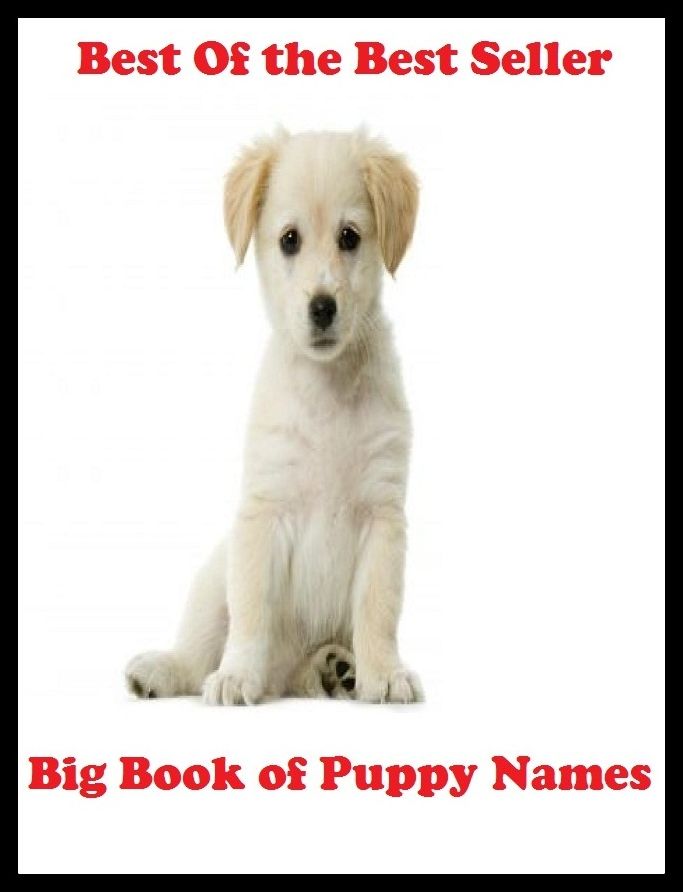 Best of the Best Sellers	Big Bookof Puppy Names(conceited person, puppy)