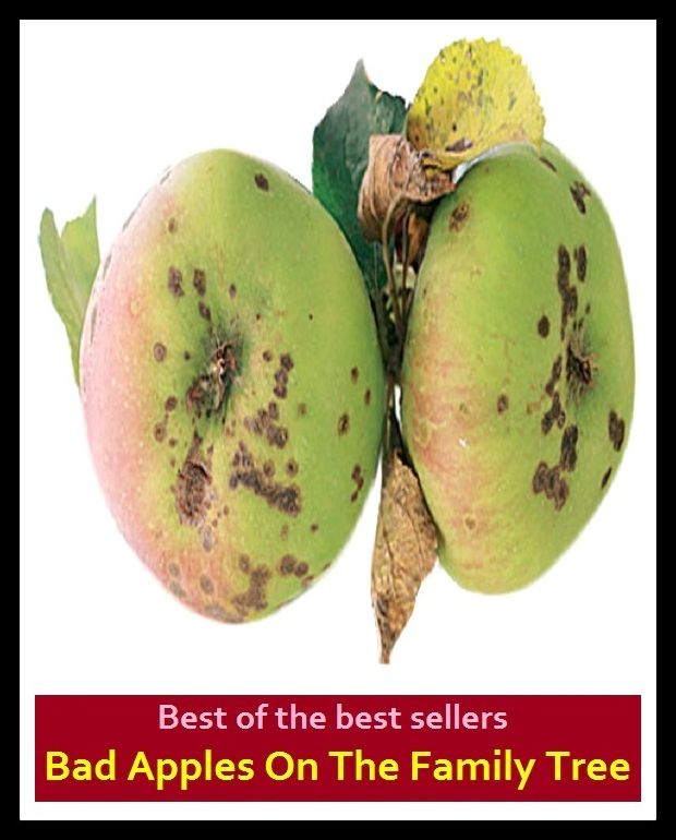 Best of the Best Sellers Bad Apples On The Family Tree (clan, blood, generations, parentage, folk, brood, genre, pedigree, group, children, class, house)