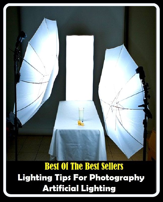 99 cent best seller Lighting Tips For Photography Artificial Lighting ( artificial joint, artificial kidney, artificial lake, artificial language, artificial life, artificial limbs, artificial lung, artificial neural network, artificial organ, artificial)