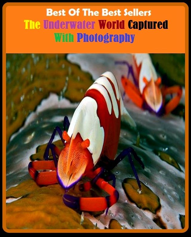 99 cent best seller The Underwater World Captured With Photography ( underwater basket weaving, underwater demolition, underwater demolition team, underwater diver, underwater searches, underway, underway replenishment, underway replenishment force, nude)