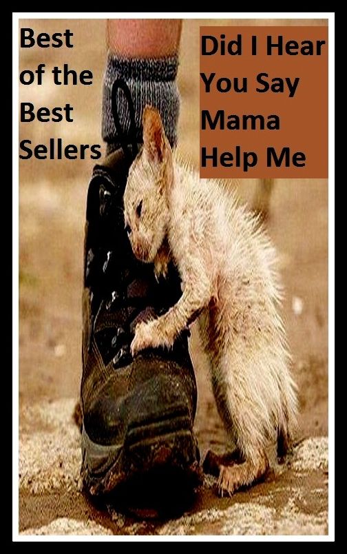 Best of the Best Sellers Did I Hear You Say Mama Help Me I (didactic, dicotyledon, orthodontia, dicysteine, did, did not bat, diva, did ache, did act, didactic)