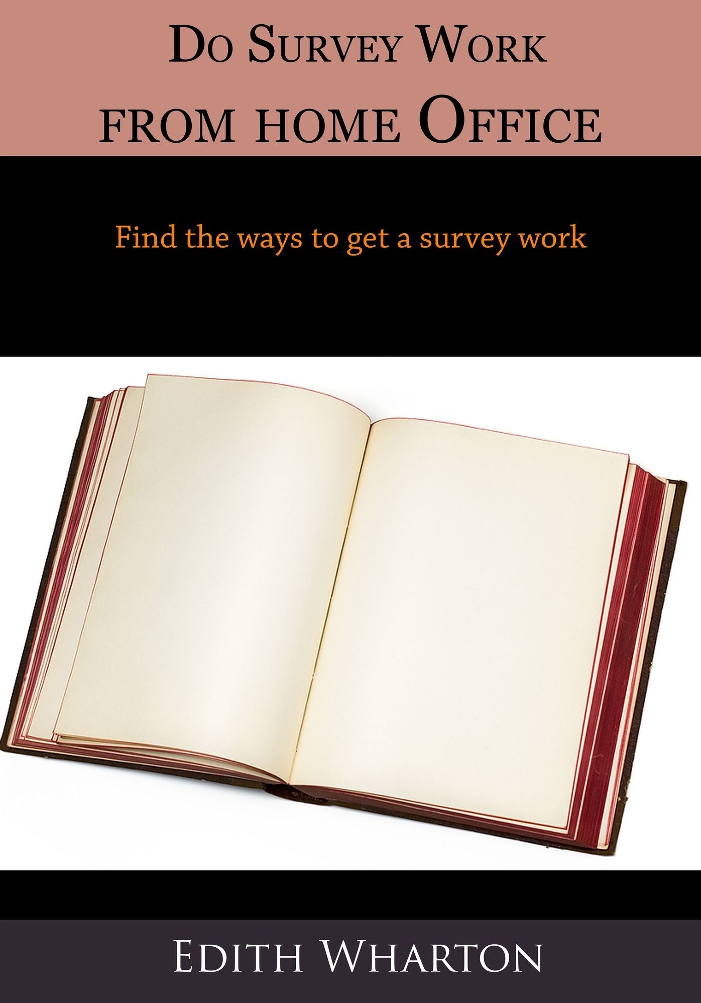 Do Survey Work from home Office